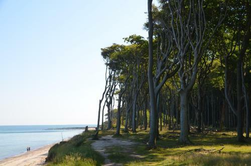 Apartamento Ostseeblick
