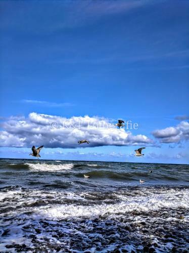 Apartamento Ostseeblick