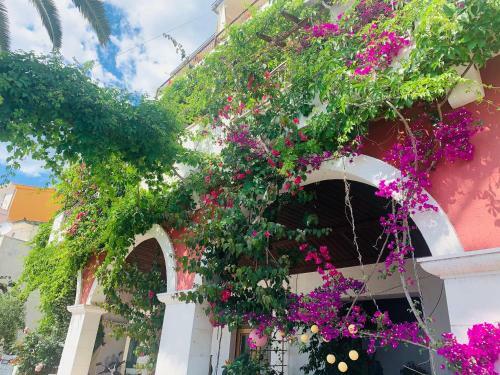 Apartamento Bouganville Seafront Studio