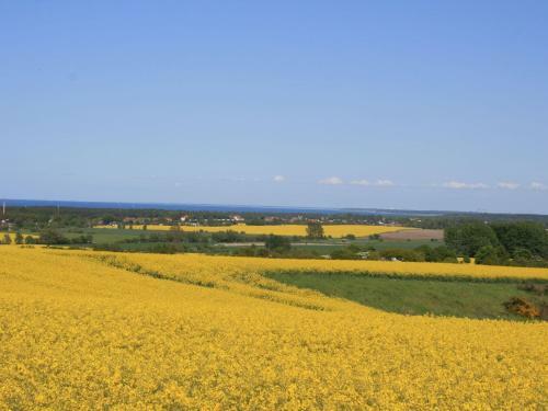 Spacious Apartment With Garden In Rerik Germany