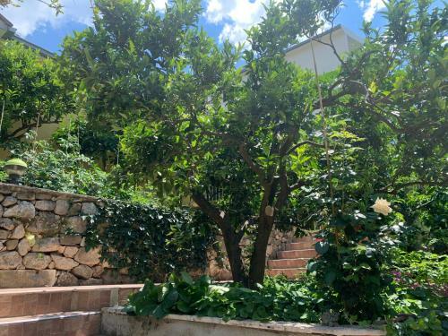Apartamento Garden Bungalow By The Sea