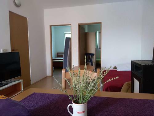 Apartman Malahov
