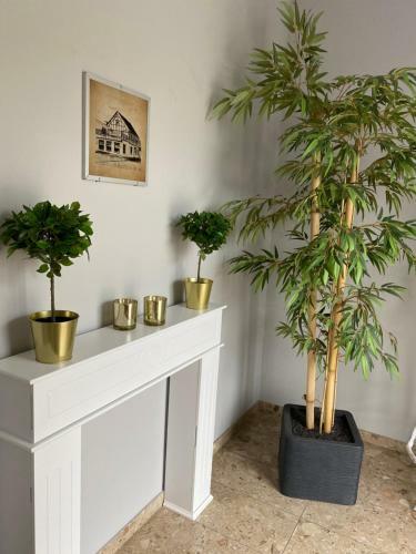 Bed & Breakfast Hotel Kellermann