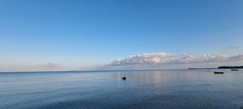 Apartamento Ferienwohnung Walfisch Inkl Strandkorb