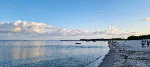 Apartamento Ferienwohnung Walfisch Inkl Strandkorb