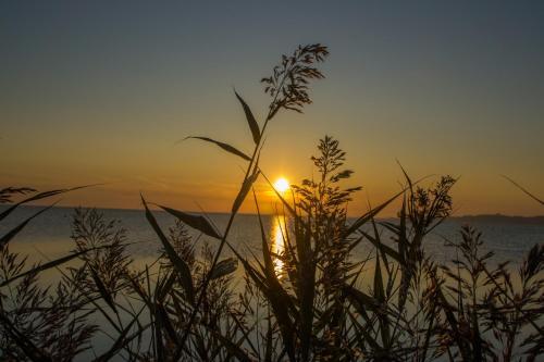 Apartamento Ferienappartement Nordstrand 23