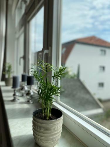 Apartamento Sandd�ne