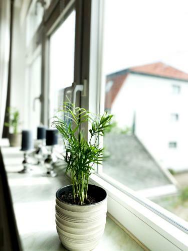 Apartamento Sandd�ne