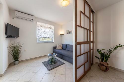Apartment Vivis