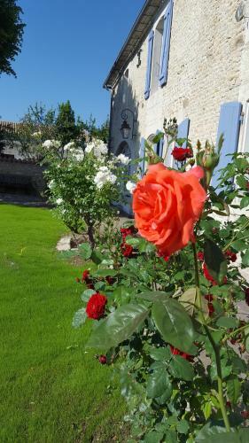 Bed & Breakfast La Closeraie