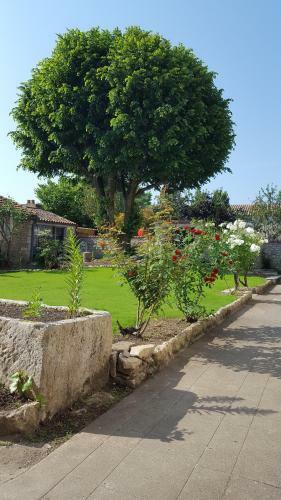 Bed & Breakfast La Closeraie
