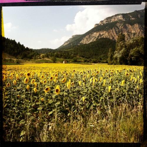 Bed & Breakfast Le Vin De L'et�
