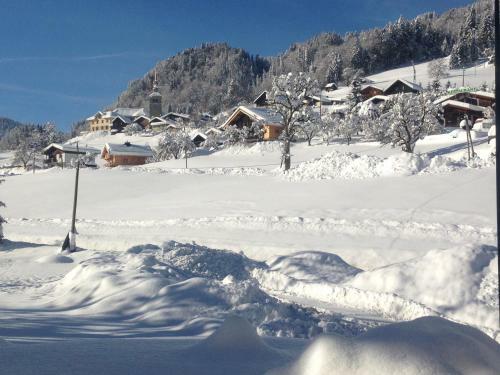 Hotel Chalet Du Vivier