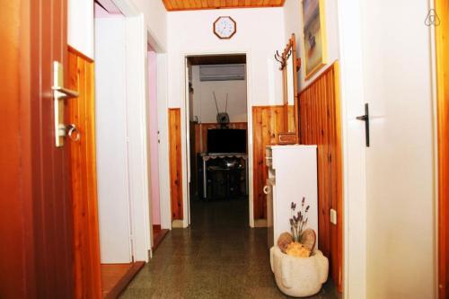 Apartments Ana