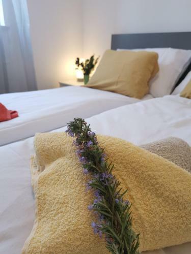 Apartment Zoanda