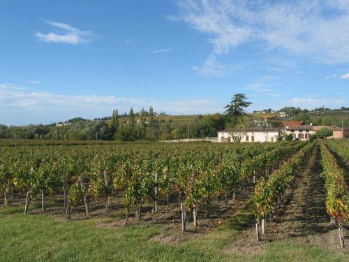 Bed & Breakfast Chateau Rousselle