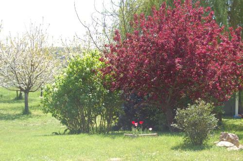 Bed & Breakfast La Grange