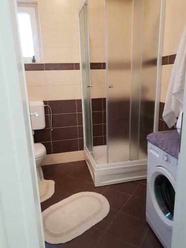 Apartment Medeja