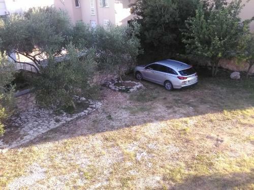Apartamento Nane