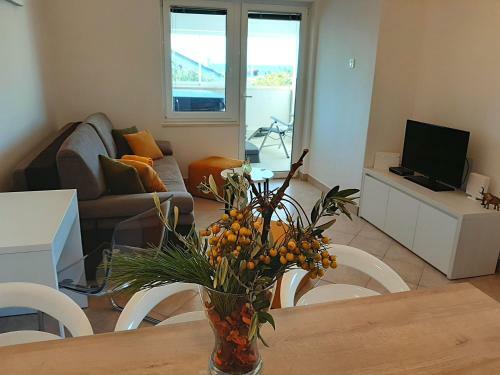 Sunwell Apartments - Novalja, Gajac, Zr?e