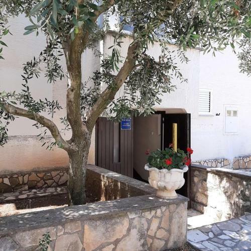 Apartamentos Studio Novalja 210a