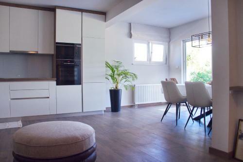 Retro & Fancy Apartments Lld