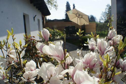 Apartamento Gl�ck Auf R�gen