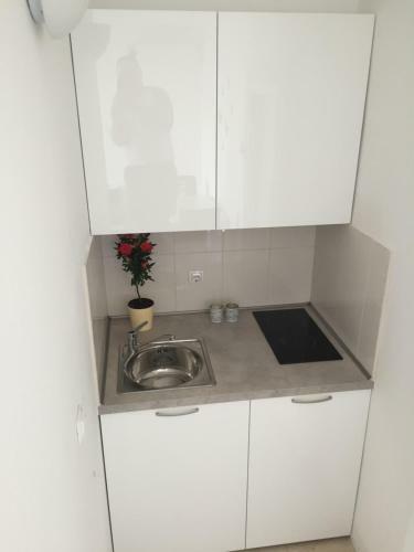 Apartments Leptiric