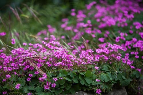 Holiday House With A Parking Space Podstrana, Split - 13946