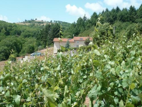 La Bruy�re Aux Lamas