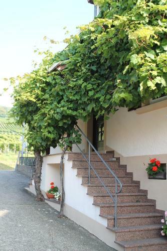 Apartamento No. 73 - Idylle Im Rebenmeer