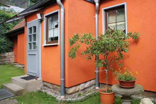 Ferienhaus Franz - An Der Elbe, Mit Gro�em Garten