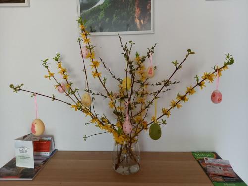 Apartamento Ferienwohnung Angelo