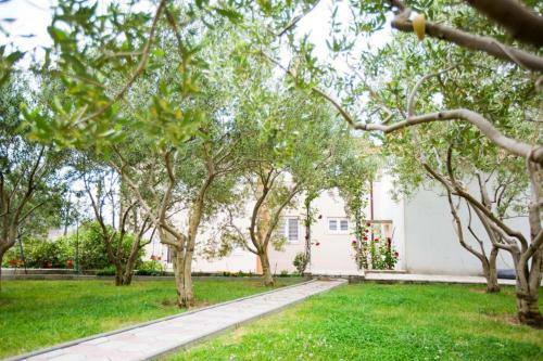 Apartmani Sara