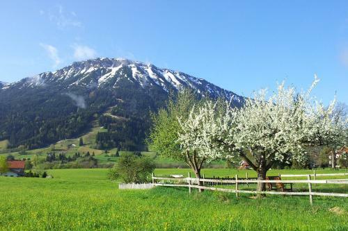 Bed & Breakfast Haus Lenzer