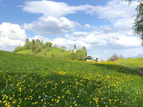 Apartamento Ferienwohnung Im Haus Dorn-r�schen