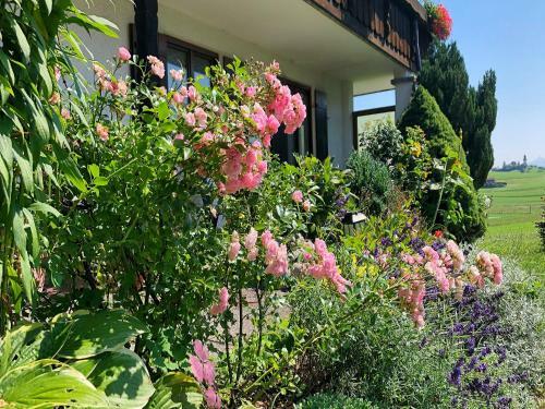 Apartamento Ferienwohnung Im Haus Dorn-r�schen