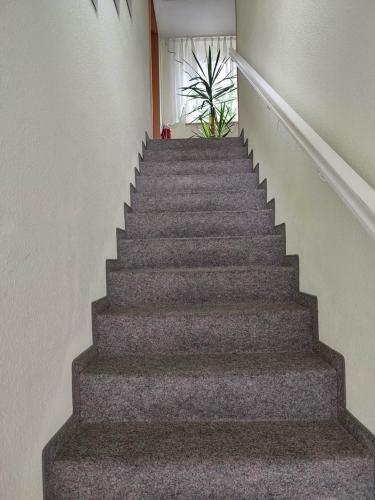 Hostal Gockescher Hahn