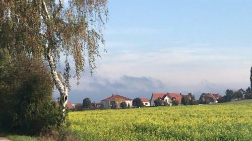 Apartamento Ferienwohnung Im Herzen Der Holledau