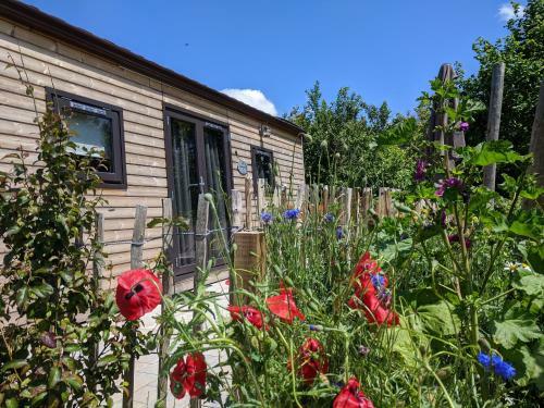 Apartamento Rh�n Lodge