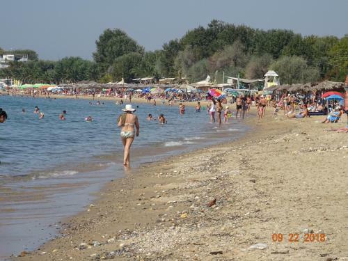 Paralia