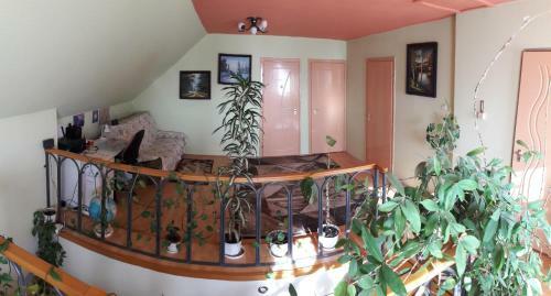 Bereg Apartman