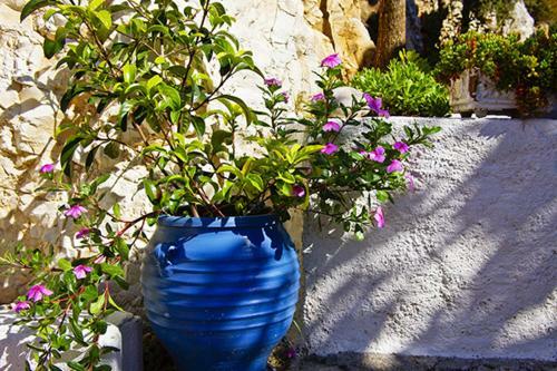 Kaminakia - Apartments & Studios With Sea View - Adults Only