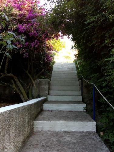 Kaminakia - Apartments & Studios With Sea View - Adults Only