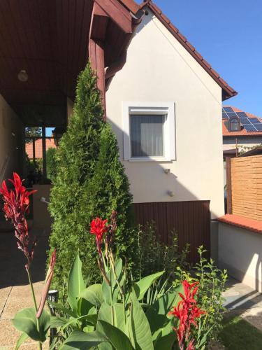 Apartman Tina Sol
