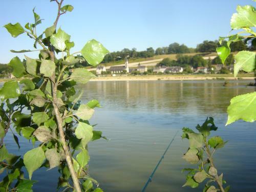 Apartamento Les Bords De Loire