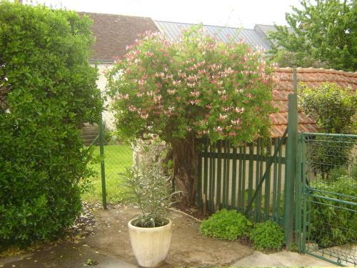 Apartamento Les Bords De Loire