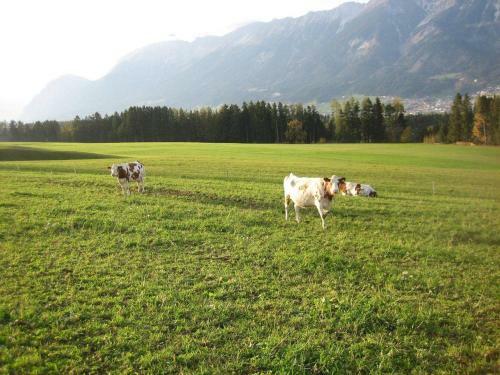 Apartamento Tuschnhof