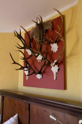 Hotel Hirsch