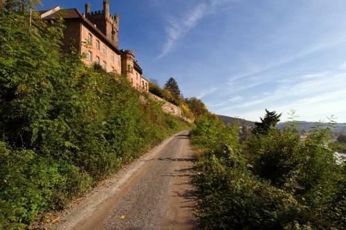 Hotel Hirsch